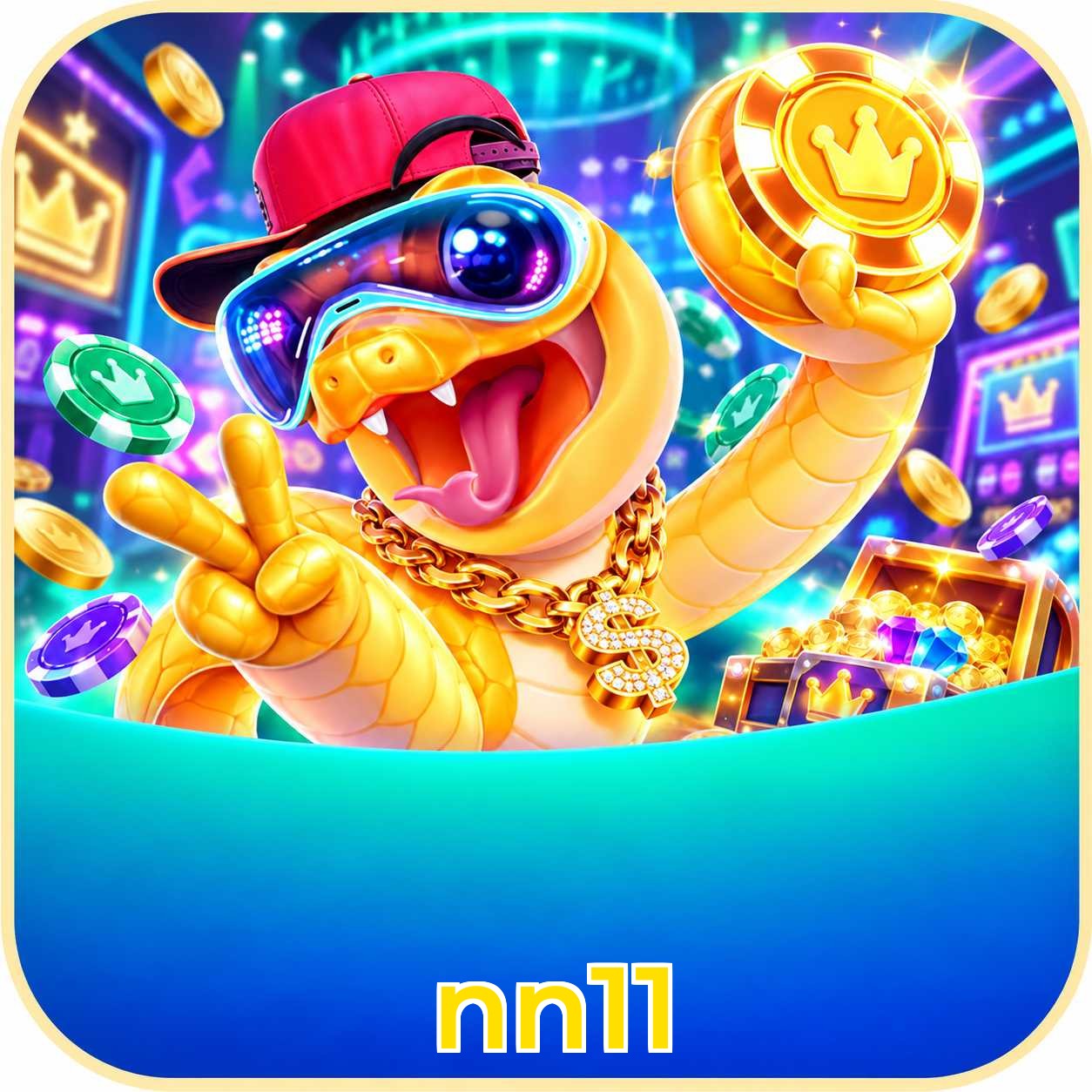 nn11 FAQ instalar app